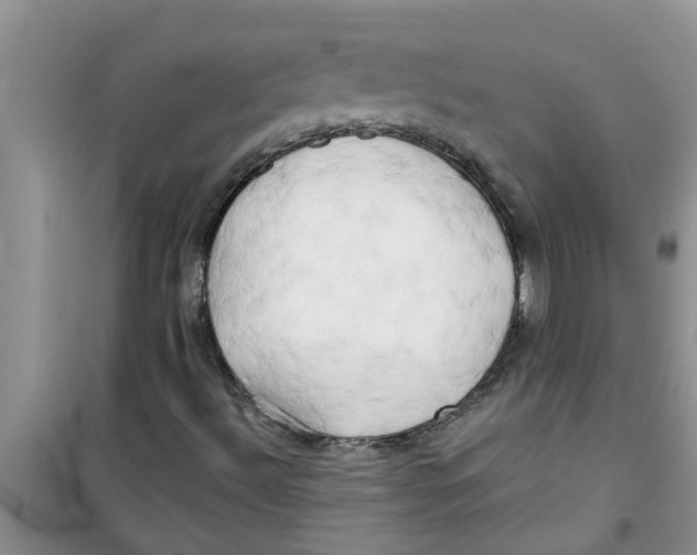 X0000100971492200807221156