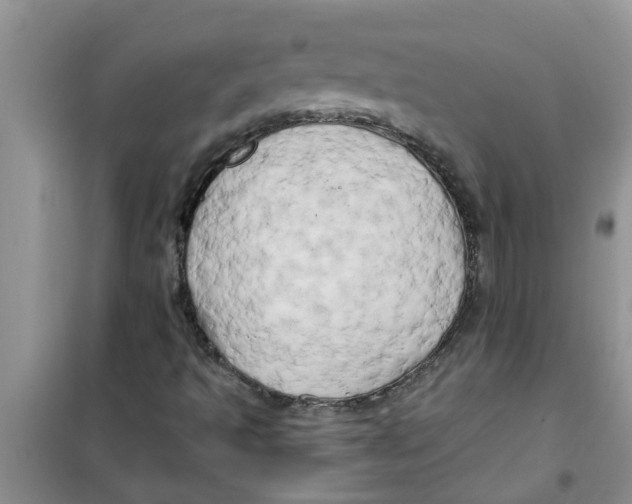 X0000100971493200807221156