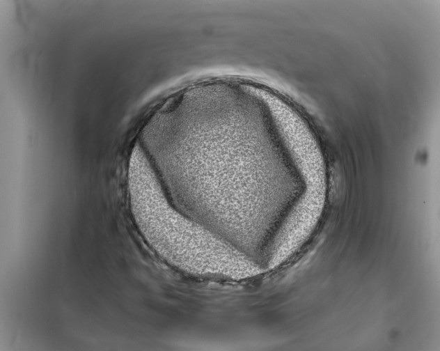 X0000100971494200807221156