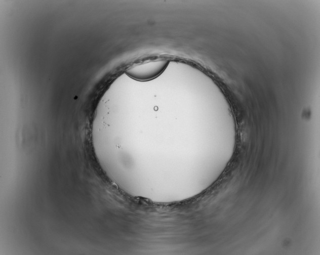 X0000100971495200807221156