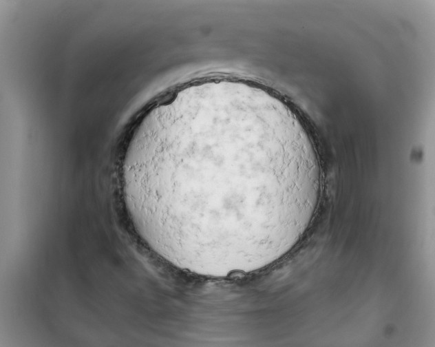 X0000100971496200807221156