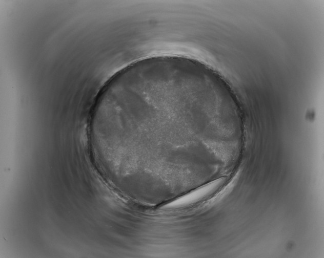 X0000100971497200807221156