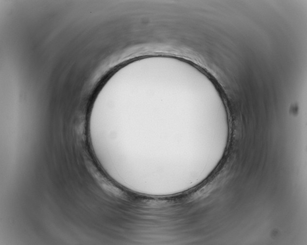X0000100971499200807221156
