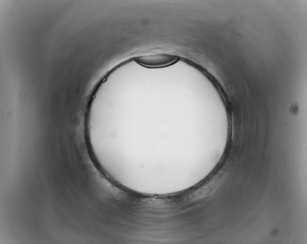 X0000100971500200807221156