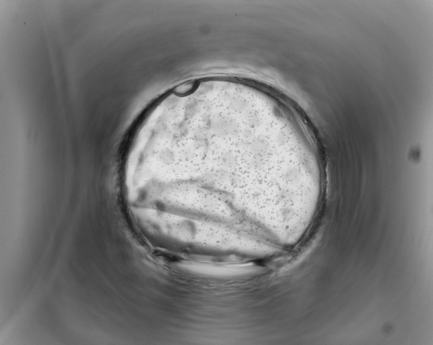 X0000100971501200807221157