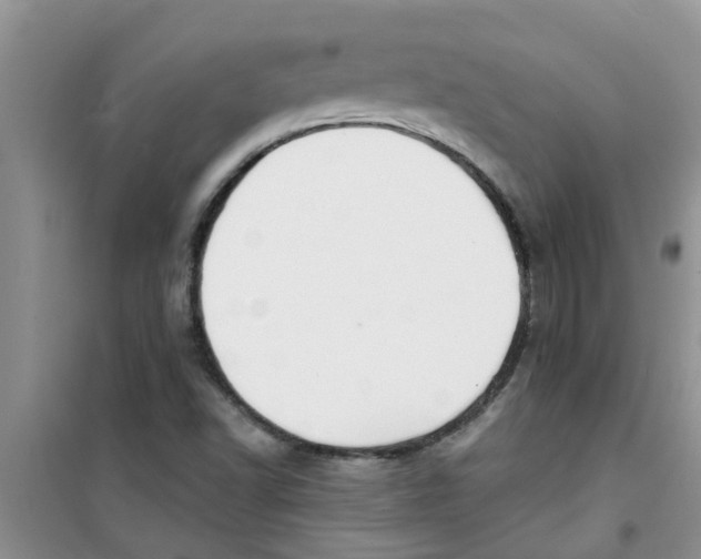 X0000100971502200807221157