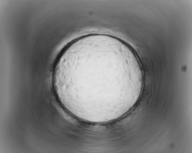 X0000100971503200807221157