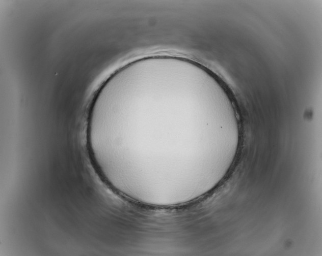X0000100971504200807221157