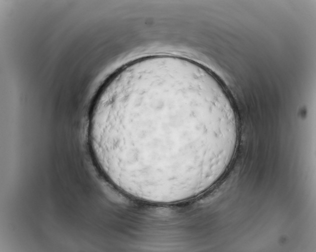X0000100971507200807221157