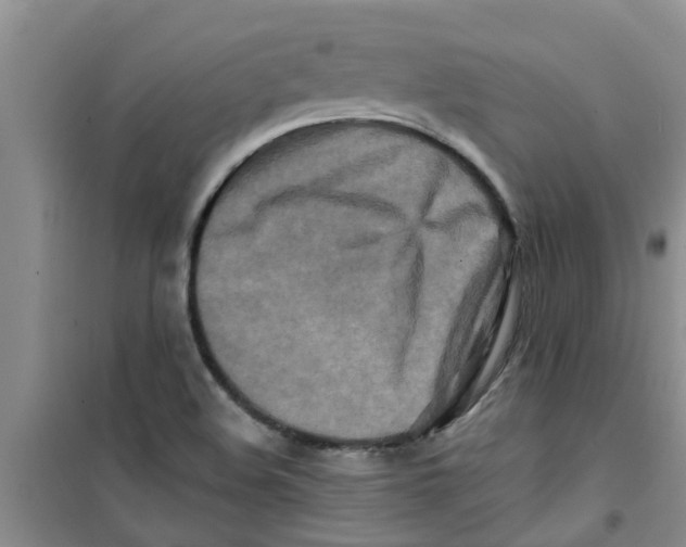 X0000100971508200807221157