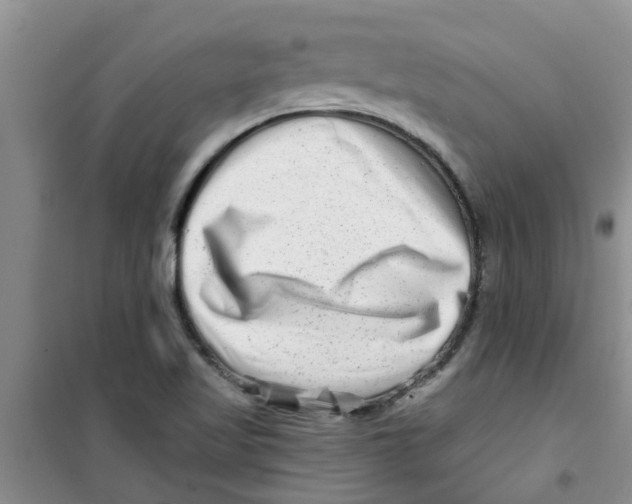 X0000100971509200807221157