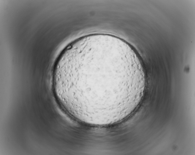 X0000100971511200807221157