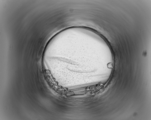 X0000100971513200807221157
