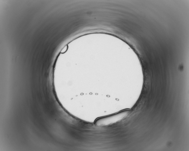 X0000100971516200807221157