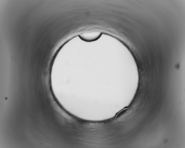 X0000100971518200807221157