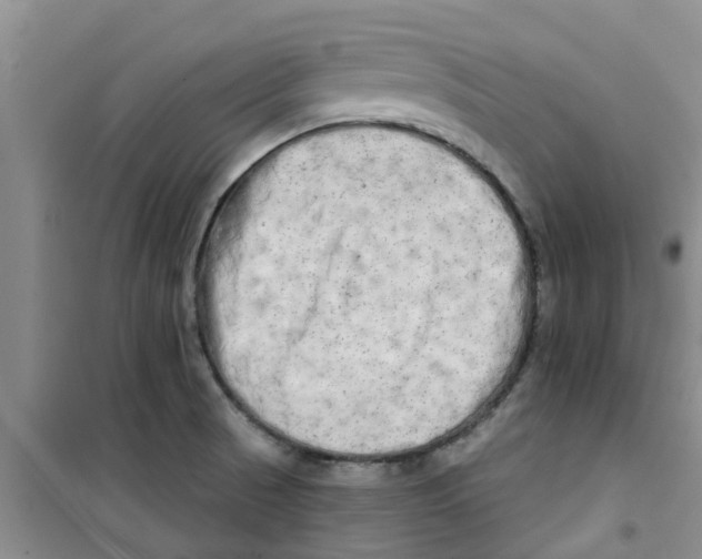 X0000100971521200807221157