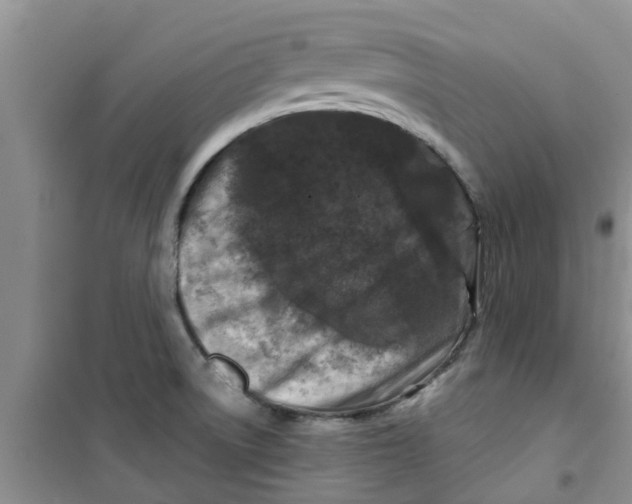 X0000100971522200807221157
