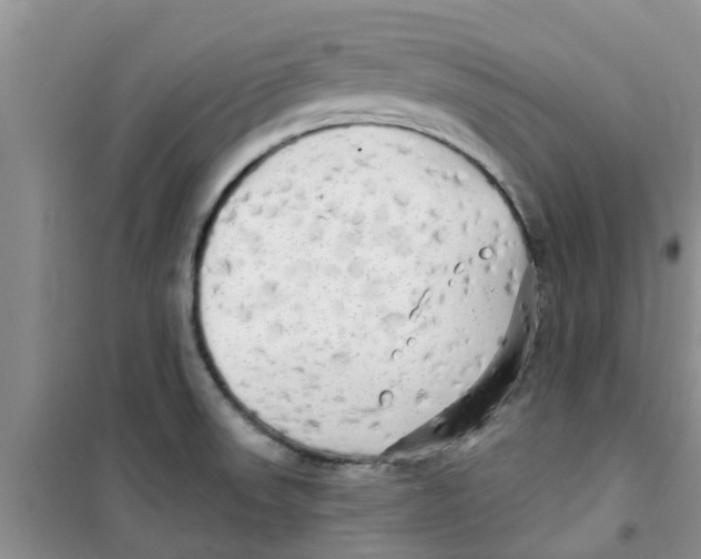 X0000100971523200807221157
