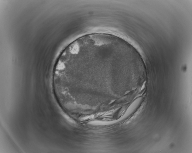 X0000100971525200807221157
