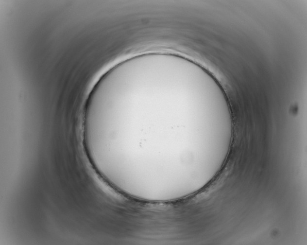 X0000100971526200807221157