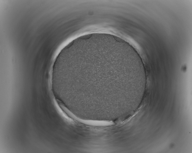 X0000100971528200807221157