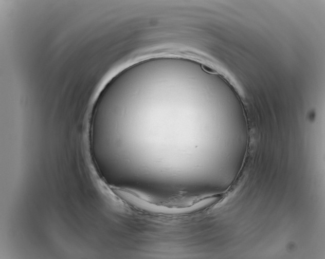 X0000100971530200807221157