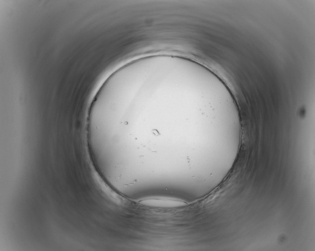 X0000100971532200807221157