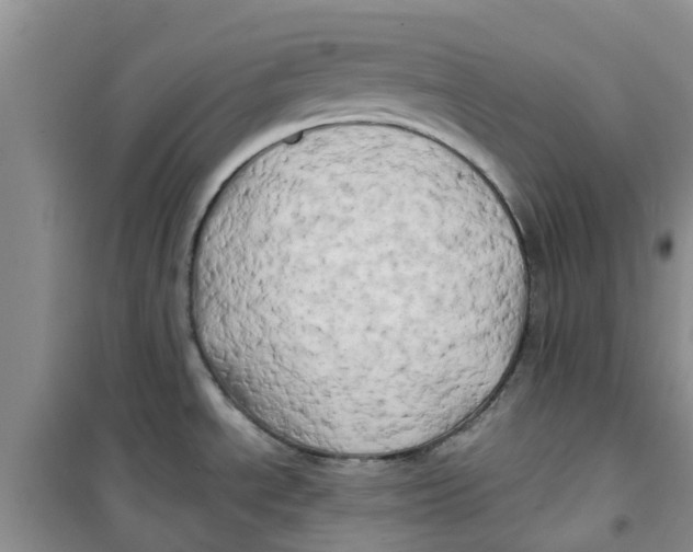 X0000100971534200807221157