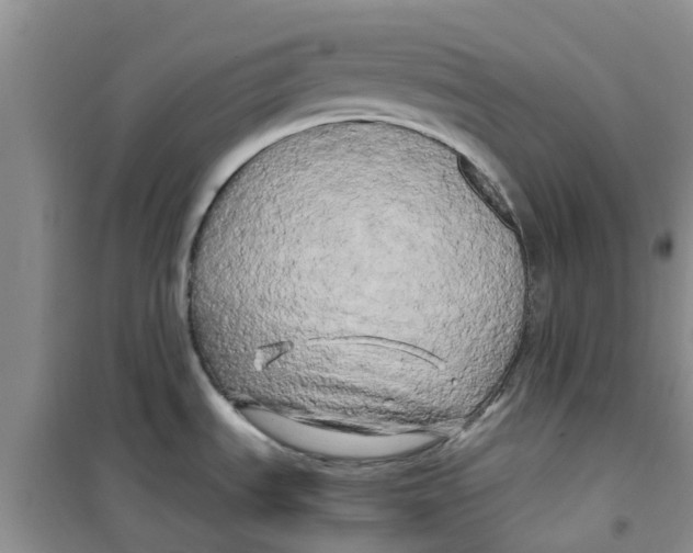 X0000100971535200807221157
