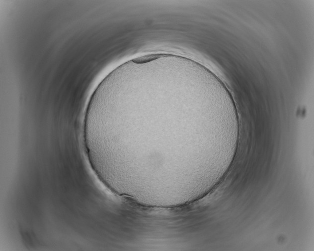 X0000100971536200807221157