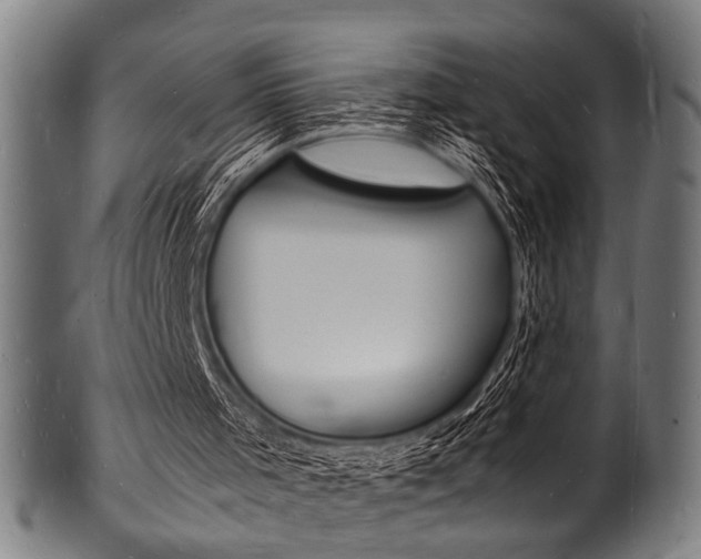 X0000100980001200806241159