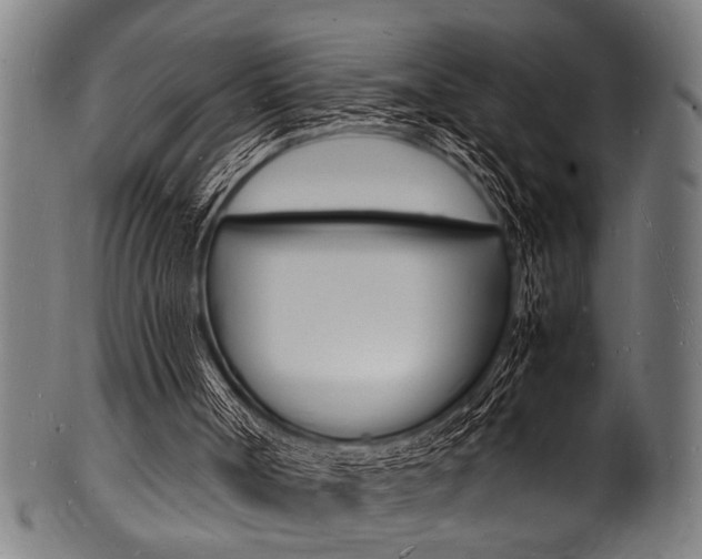 X0000100980002200806241159