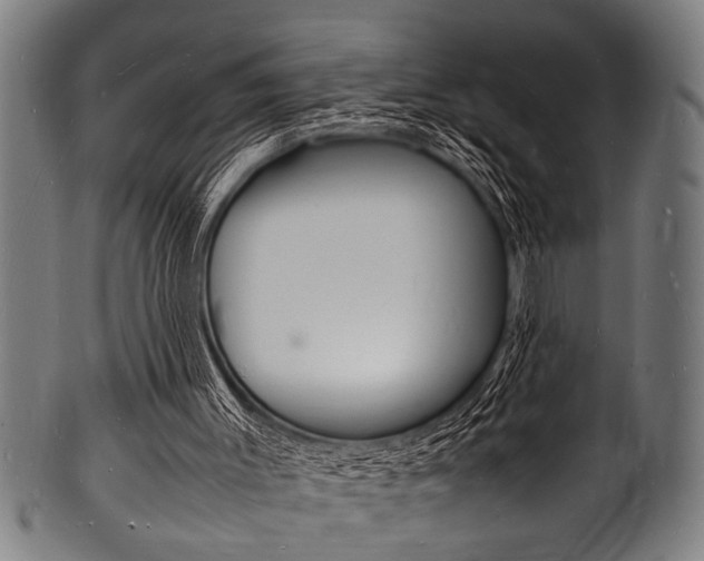 X0000100980003200806241159