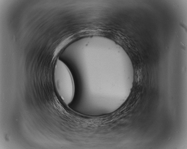 X0000100980004200806241159