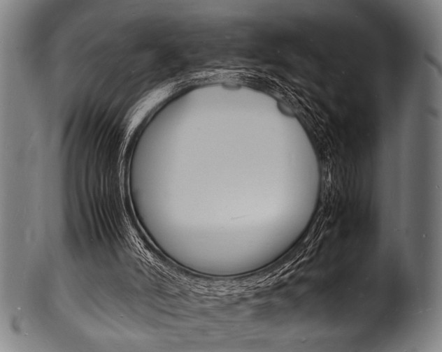 X0000100980006200806241159
