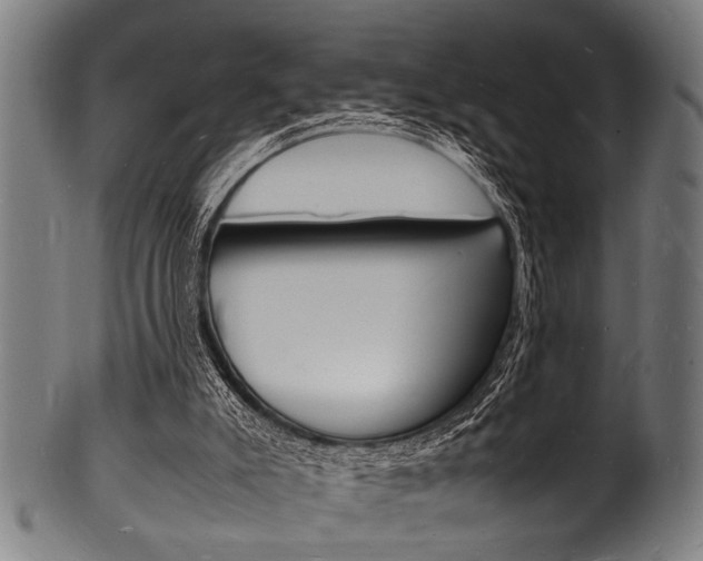 X0000100980007200806241159