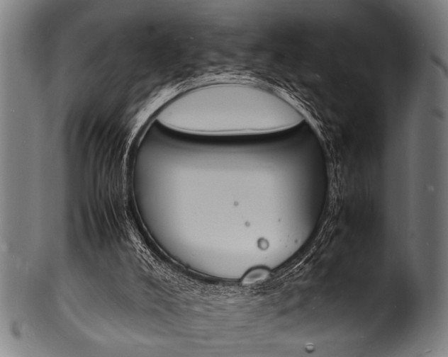 X0000100980008200806241159