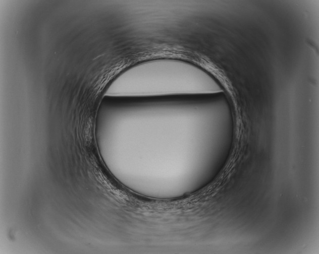 X0000100980009200806241159