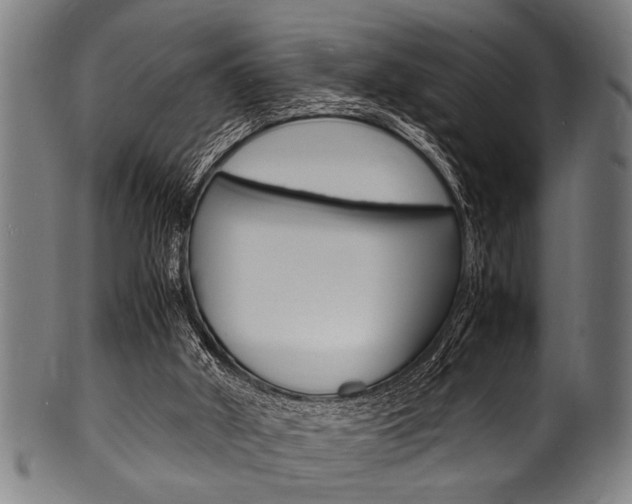 X0000100980010200806241159