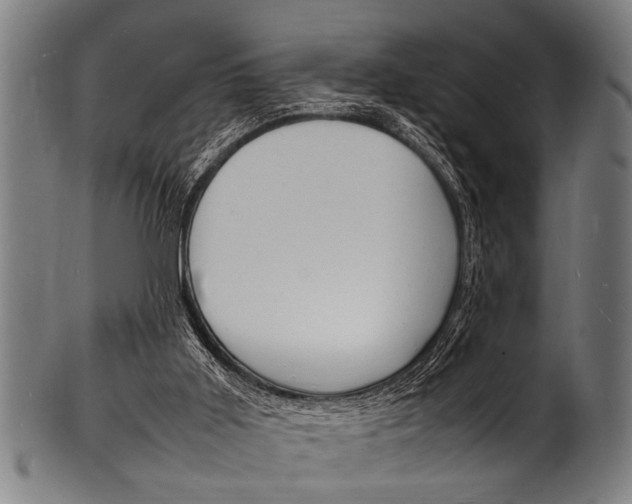 X0000100980011200806241159
