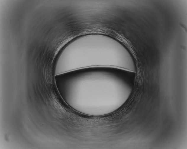 X0000100980012200806241159