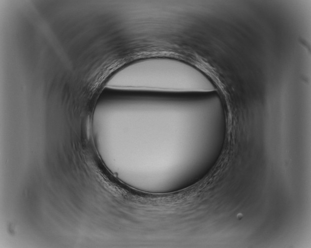 X0000100980013200806241159