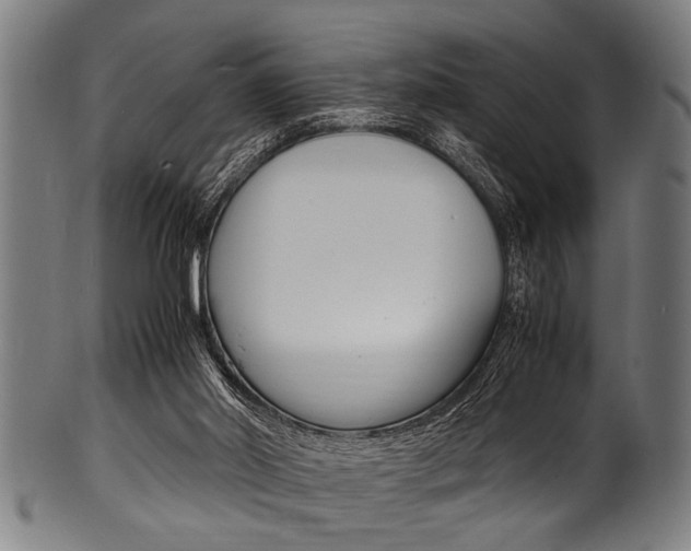 X0000100980014200806241159