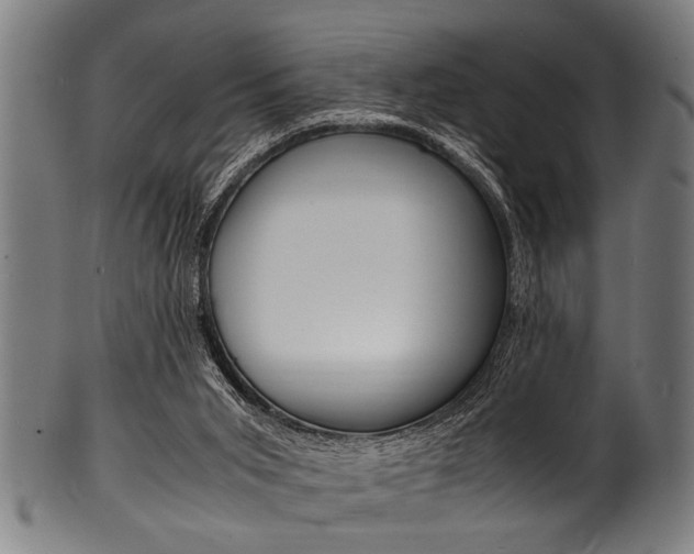 X0000100980015200806241159