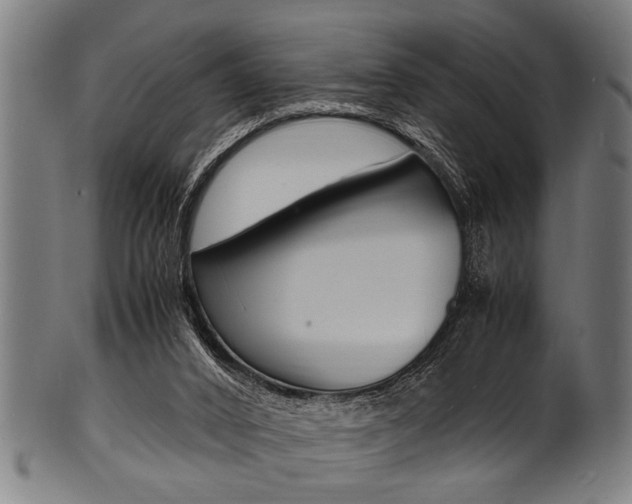 X0000100980016200806241159