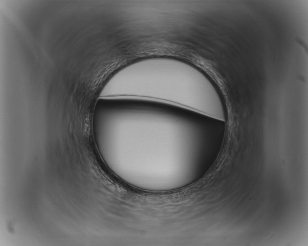 X0000100980017200806241159