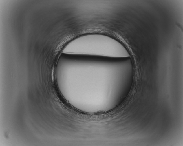 X0000100980019200806241159