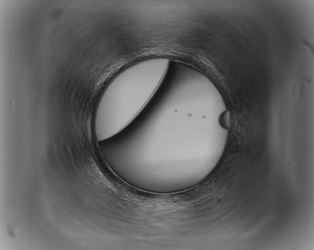 X0000100980020200806241159