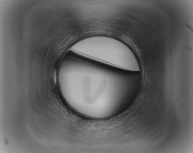 X0000100980021200806241159