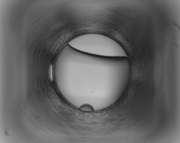 X0000100980022200806241159